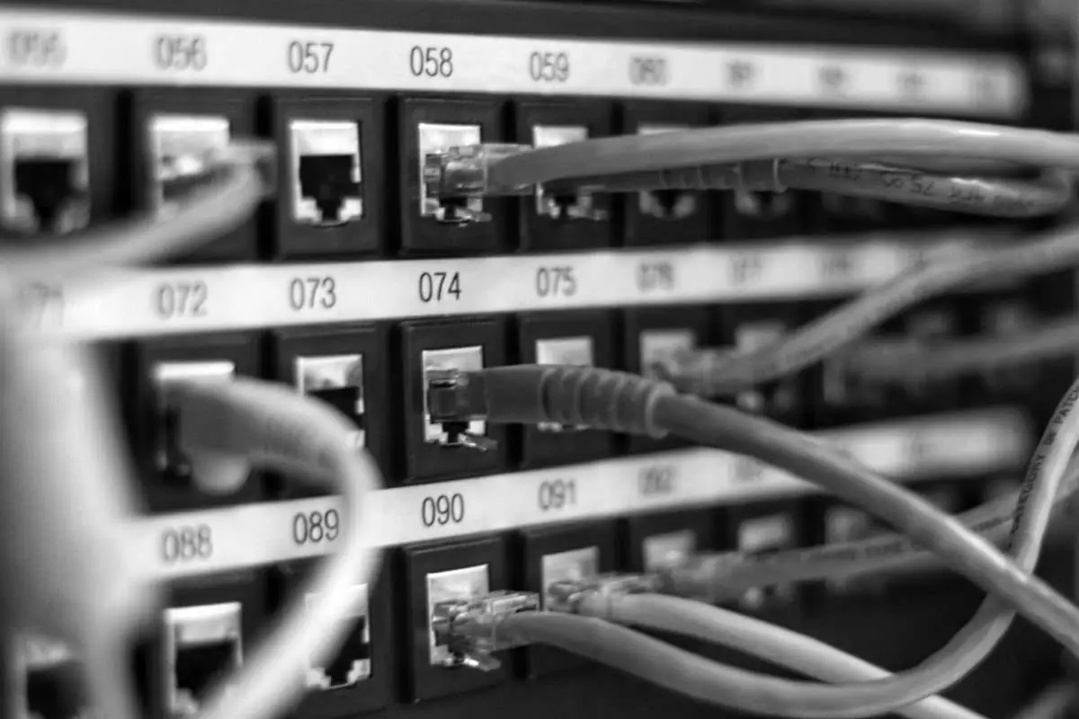 Numbered patch panel with network cables
